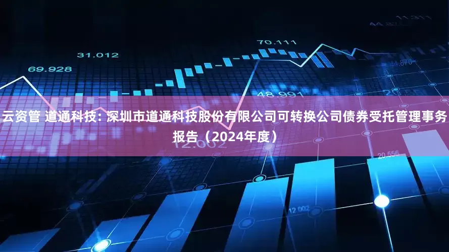 云资管 道通科技: 深圳市道通科技股份有限公司可转换公司债券受托管理事务报告（2024年度）