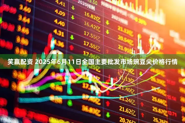 笑赢配资 2025年6月11日全国主要批发市场豌豆尖价格行情
