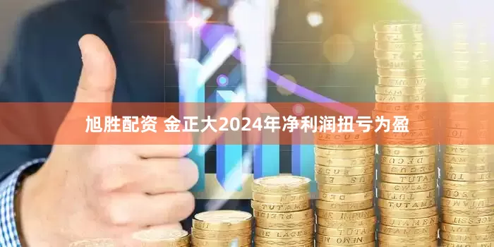 旭胜配资 金正大2024年净利润扭亏为盈
